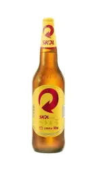 CERVEJA SKOL 300 ML
